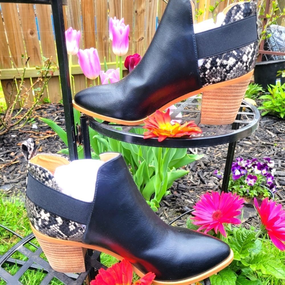 Dolce Vita Bootie‎